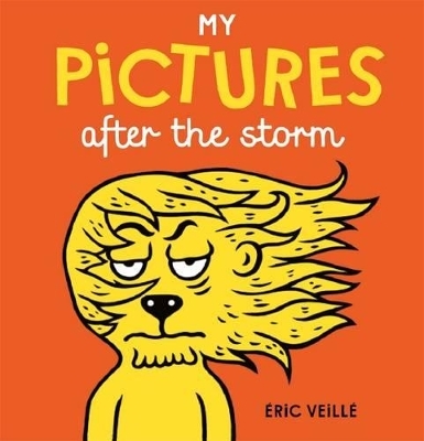 My Pictures After the Storm - Eric Veillé