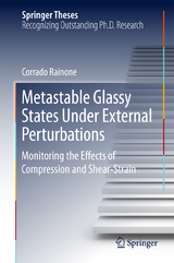 Metastable Glassy States Under External Perturbations - Corrado Rainone
