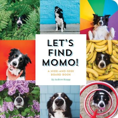 Let's Find Momo! - Andrew Knapp