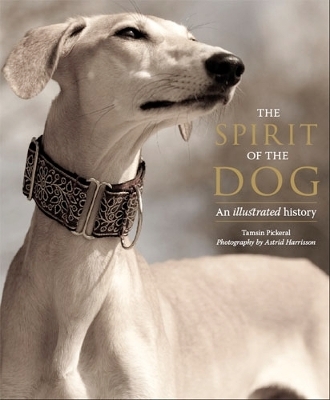 The Spirit of the Dog - Tamsin Pickeral