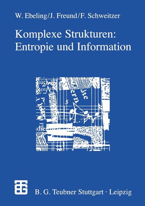 Komplexe Strukturen: Entropie und Information - Jan Freund, Frank Schweitzer