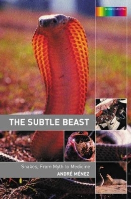 The Subtle Beast - Andre Menez