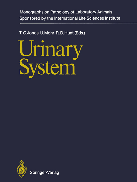 Urinary System - 