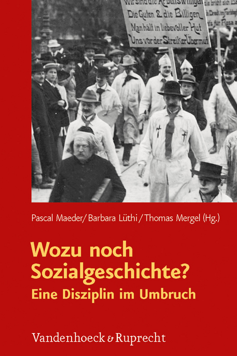 Wozu noch Sozialgeschichte? - 