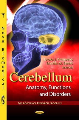 Cerebellum - 