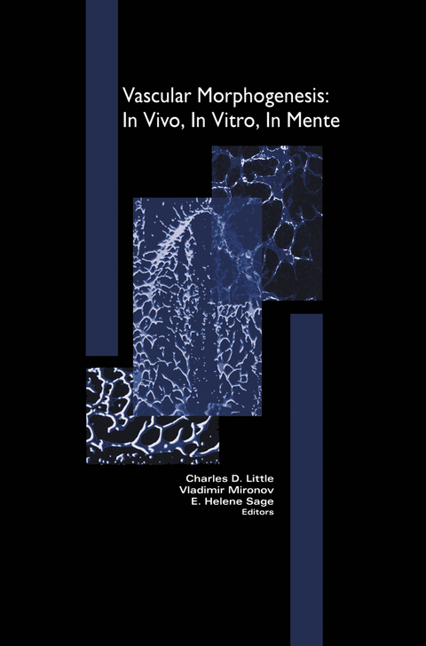 Vascular Morphogenesis: In Vivo, In Vitro, In Mente - 