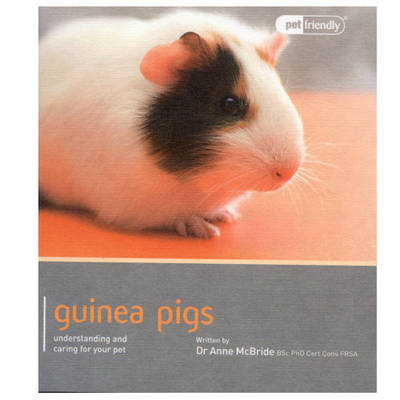 Guinea Pig - Pet Friendly - Anne McBride