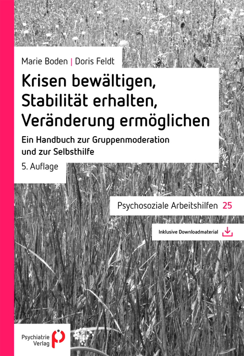 Krisen bewältigen, Stabilität erhalten, Veränderung ermöglichen - Marie Boden, Doris Feldt