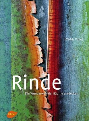 Rinde - Cédric Pollet, Antoine Isambert