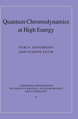 Quantum Chromodynamics at High Energy - Yuri V. Kovchegov, Eugene Levin
