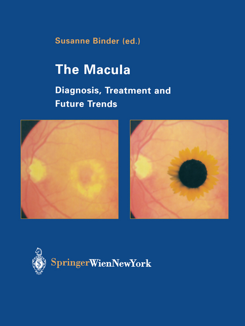 The Macula - 