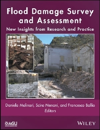 Flood Damage Survey and Assessment - 