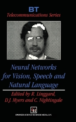 Neural Networks for Vision, Speech and Natural Language - 