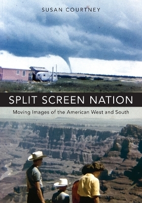 Split Screen Nation - Susan Courtney