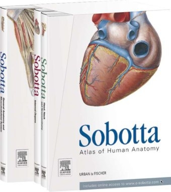 Sobotta Atlas of Human Anatomy, Package, 15th ed., English/Latin - Friedrich Paulsen, Jens Waschke