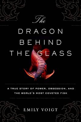 The Dragon Behind the Glass - Emily Voigt