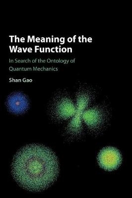 The Meaning of the Wave Function - Shan Gao