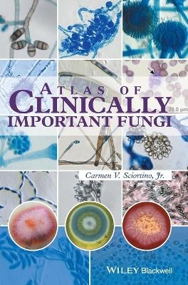 Atlas of Clinically Important Fungi - Carmen V. Sciortino