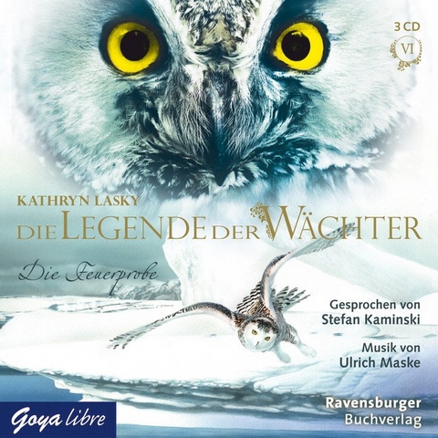 Die Legende der Wächter 6: Die Feuerprobe - Kathryn Lasky