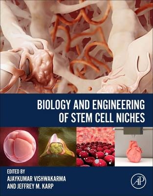 Biology and Engineering of Stem Cell Niches - 