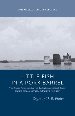 Classic Lessons from a Little Fish in a Pork Barrel - Zygmunt J. B. Plater