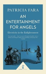 Entertainment for Angels (Icon Science) -  Patricia Fara