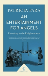 An Entertainment for Angels (Icon Science) -  Patricia Fara