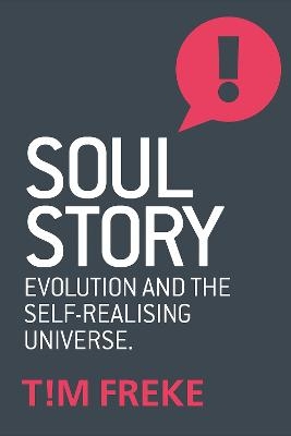 Soul Story - Tim Freke