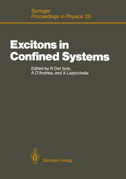 Excitons in Confined Systems - 