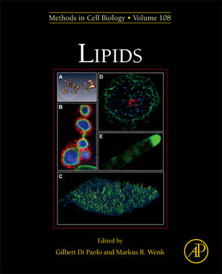 Lipids - 