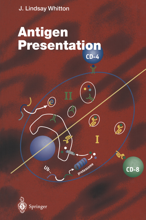 Antigen Presentation - 