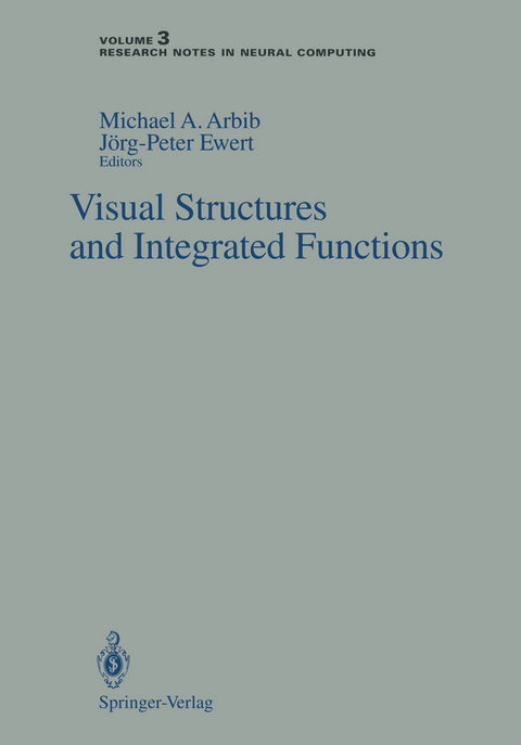 Visual Structures and Integrated Functions - 