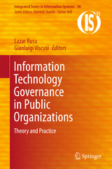 Information Technology Governance in Public Organizations - 