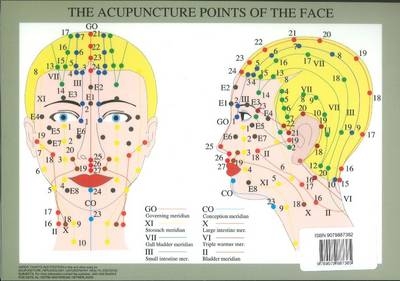 Acupuncture Points of the Face -- A4 - Jan van Baarle