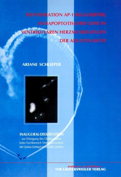 Identifikation AP-1 regulierter, antiapoptotischer Gene in ventrikulären Herzmuskelzellen der adulte Ratte - Ariane Schlieper