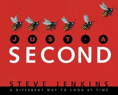 Just a Second - Steve Jenkins