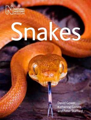 Snakes - David Gower, Katherine Garrett, Peter Stafford