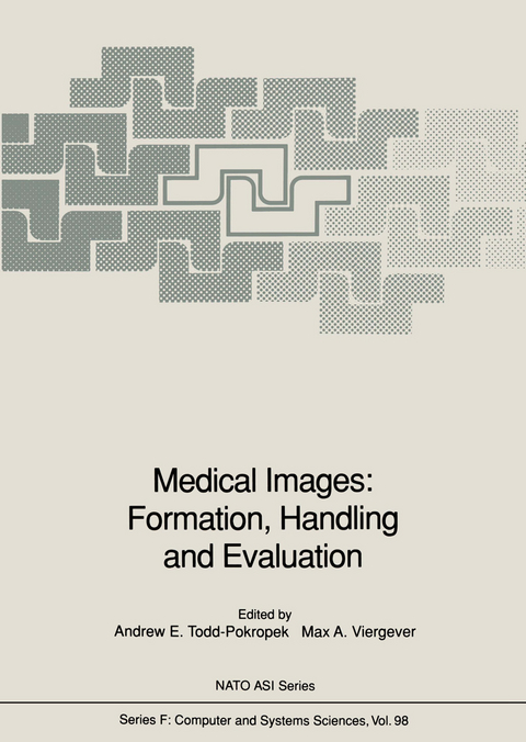 Medical Images: Formation, Handling and Evaluation - 