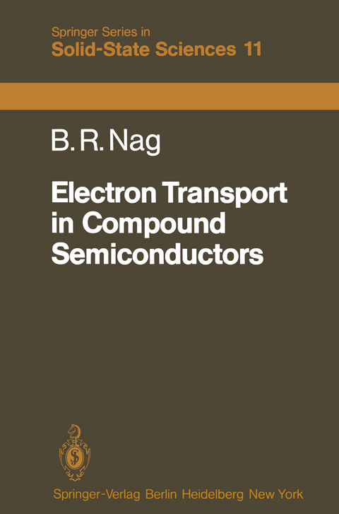 Electron Transport in Compound Semiconductors - B.R. Nag