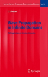 Wave Propagation in Infinite Domains - Lutz Lehmann