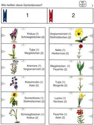 Heimische Pflanzen - Gisela Heidorn, Heiner Müller