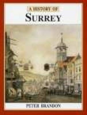 A History of Surrey - Peter Brandon