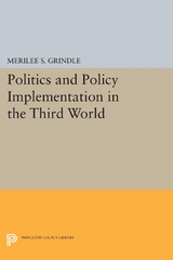 Politics and Policy Implementation in the Third World -  Merilee S. Grindle