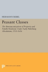Peasant Classes -  Hermann Rebel