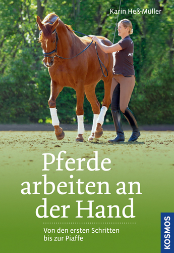 Pferde arbeiten an der Hand - Karin Heß-Müller