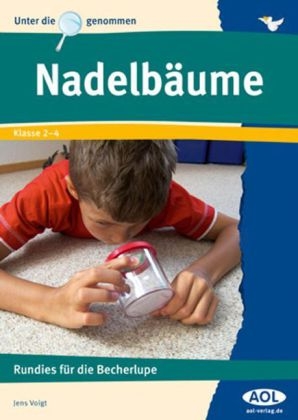 Nadelbäume - Jens Voigt