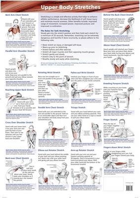 3 Chart Set: Upper Body, Lower Body, Neck/Back/Cor e - B Walker