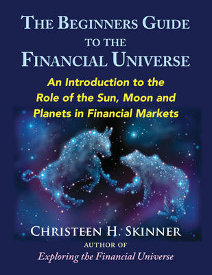 The Beginners Guide to the Financial Universe - Christeen H. Skinner