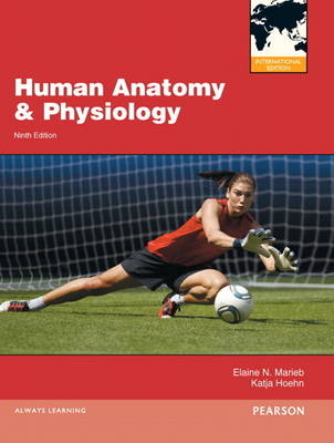 Human Anatomy & Physiology - Elaine N. Marieb, Katja Hoehn