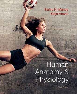 Human Anatomy & Physiology - Elaine N. Marieb, Katja Hoehn